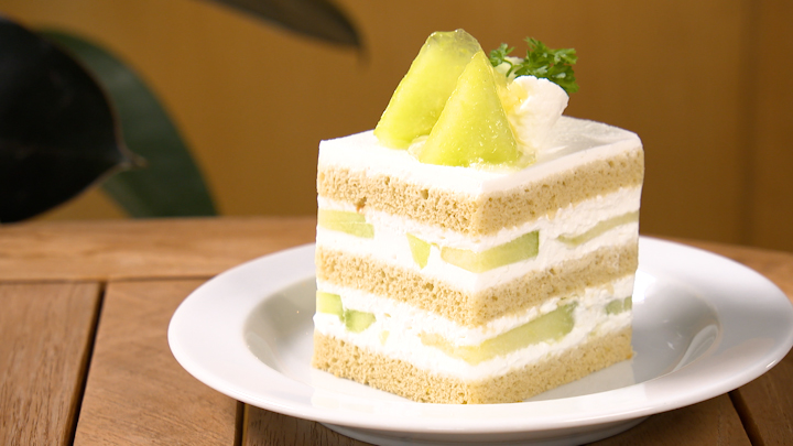 ｔｙｓ テレビ山口 2104 カメリヤ