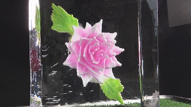 tys テレビ山口 - 200803氷のアート